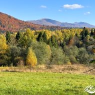 Działka na sprzedaż, Krzywe