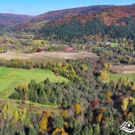 Działka na sprzedaż, Krzywe