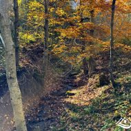 Działka na sprzedaż, Krzywe