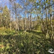 Działka na sprzedaż, Krzywe