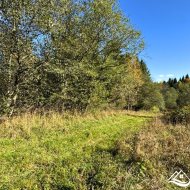 Działka na sprzedaż, Krzywe