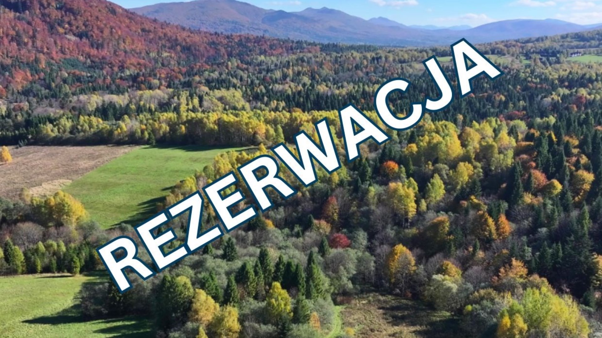 Działka Krzywe - przestrzeń i natura Bieszczad