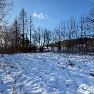 Działka rekreacyjna, Hoczew