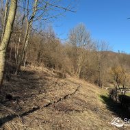 Działka rolna w atrakcyjnej cenie, Dębna gm. Sanok