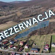Działka rolna w atrakcyjnej cenie, Dębna gm. Sanok