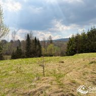 Widokowa działka w Bieszczadach