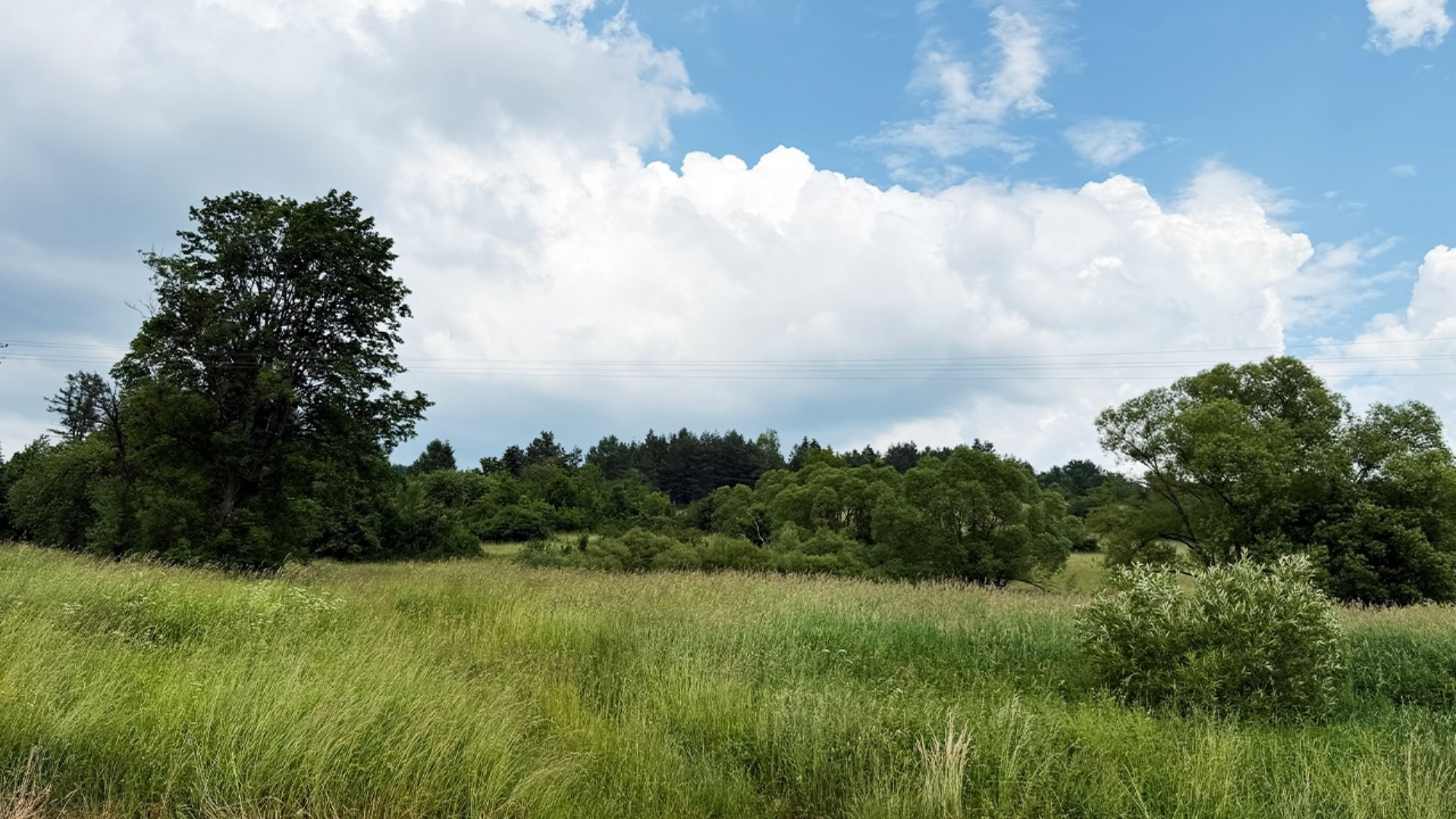 Działka inwestycyjna 20 arów- Liskowate k. Ustrzyk