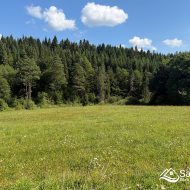 Berezka -  27 arów przy lesie i potoku