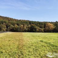 Działka 37 arów z linią brzegową Sanu – Łączki